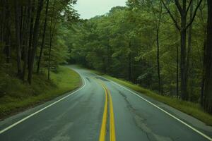 Endless road of travel on rural highways There are natural trees on both sides of the road. photo
