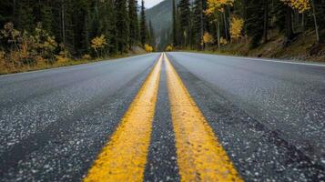 Endless road of travel on rural highways There are natural trees on both sides of the road. photo