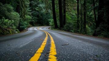 Endless road of travel on rural highways There are natural trees on both sides of the road. photo