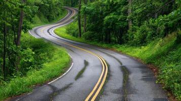 Endless road of travel on rural highways There are natural trees on both sides of the road. photo