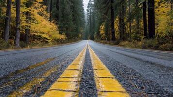 Endless road of travel on rural highways There are natural trees on both sides of the road. photo