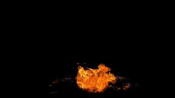 Fire Flame in Black Background video