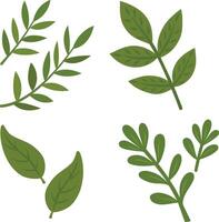 The collection of green leaves is a set of graphic elements with various drawings of leaves of different shapes and sizes. Isolated objects on a transparent background vector