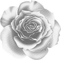 Halftone bitmap grunge dot texture photocopy effect rose flower vector