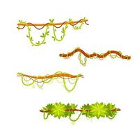 Set of cartoon lianas covered with green leaves, hanging on branches, jungle design elements on white background vector