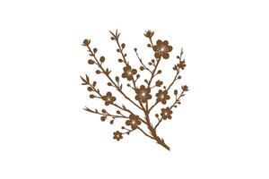 A branch with flowers on it is shown vector