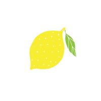 Hand drawn doodle sketch lemon vector