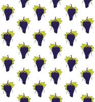 Seamless pattern of sketch grape vector