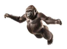 photo of a gorilla floating mid-air on isolated background png