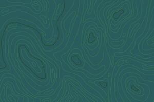 Topographic map with mountain relief, contur abstract wavy lines, top view land vector