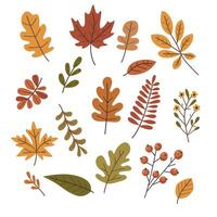 Collection of stylized autumn leaves of different shapes and sizes. vector