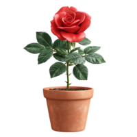 Red Rose in Brown Pot Simple and Clear Image on Transparent background AI-Generative png