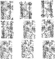 Abstract grunge texture design on a white background. Dirt texture for the background vector