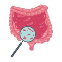 Digestive tract intestines with magnifying glass illustration on white background. vector