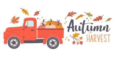 A hand-drawn autumn sticker with the phrase Autumn Harvest. An autumn phrase with cute and cozy design elements vector