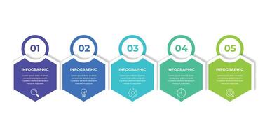 Infographic design business template with icons and 5 options or steps. vector