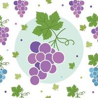 Seamless pattern of cute grapes, white background vector