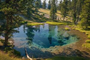 Crystal clear spring in a tranquil forest setting with lush greenery photo
