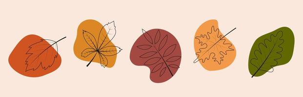 Set of autumn leaves in boho doodle style. Fall design elements collection. Hand drawn illustration. vector