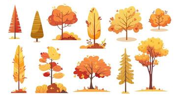 Set of colourful autumn trees on white background. elements for design, hello autumn vector