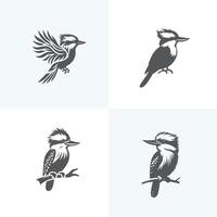 set of Kookaburra birds vector