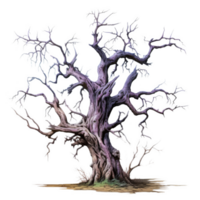 An Ancient, Twisted Tree with Eyes in Its Bark png