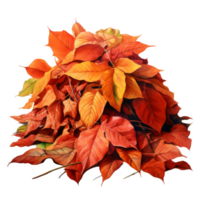 A Pile of Vibrant Orange and Red Autumn Leaves png