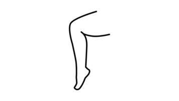 Foot care outline icon animation. transparent background video