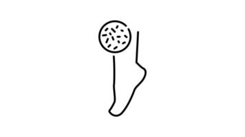 instep outline icon animation. transparent background video