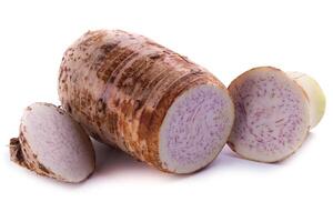 taro root isolated on a white background. photo