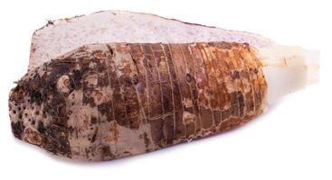 slice of taro root isolated on a white background. photo