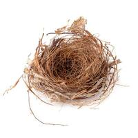 Empty bird nest isolated over a white background. photo