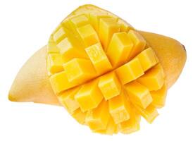Yellow mango isolated on a white background photo