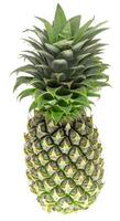 Single whole pineapple isolated on a white background photo