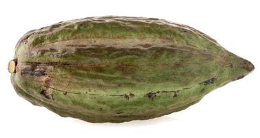 Fresh cocoa fruits isolated on white background photo