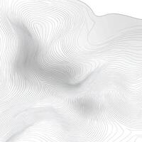 Abstract Curved Line Pattern in White and Gray photo
