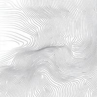Abstract Curving Lines on a White Background photo