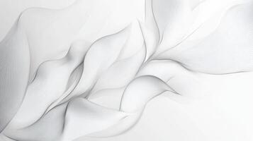 Abstract White Curved Lines with Soft Shadows photo