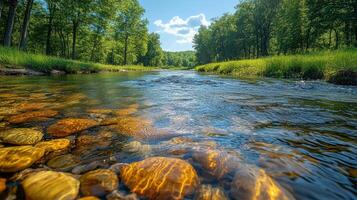 A tranquil river with shimmering rocks is surrounded by lush green trees, highlighting freshwater ecosystem restoration efforts. photo