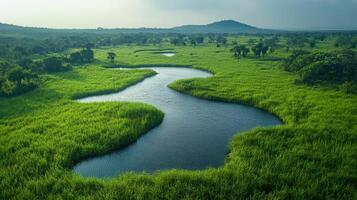 The winding river flows through vibrant green wetlands, showcasing the rich biodiversity of the protected area. photo
