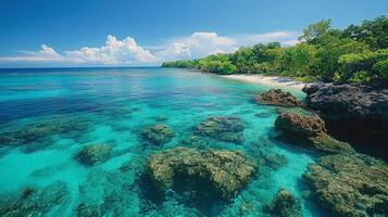Clear turquoise waters highlight the coral reefs and lush greenery along Costa Posta's shoreline. photo