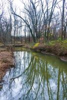 Autumn forest in a public park, old trees growing along a small river falling into the water, NJ photo