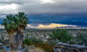 Valley overgrown with desert vegetation on a cloudy day, Mountains in the background, State park ANZA-BORREGO DESERT photo