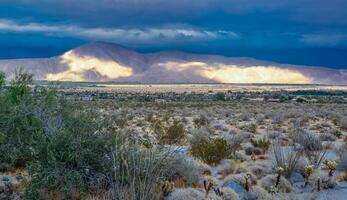 Valley overgrown with desert vegetation on a cloudy day, Mountains in the background, State park ANZA-BORREGO DESERT photo