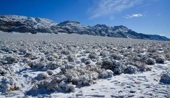 Snow in the mountains, Snow-covered mountain pass, desert plants under the snow in summer photo