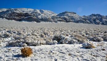 Snow in the mountains, Snow-covered mountain pass, desert plants under the snow in summer photo