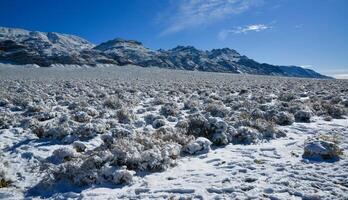 Snow in the mountains, Snow-covered mountain pass, desert plants under the snow in summer photo