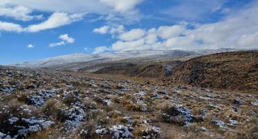 Snow in the mountains, Snow-covered mountain pass, desert plants under the snow in summer photo