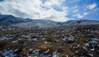 Snow in the mountains, Snow-covered mountain pass, desert plants under the snow in summer photo