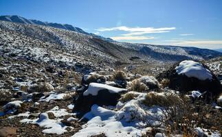 Snow in the mountains, Snow-covered mountain pass, desert plants under the snow in summer photo